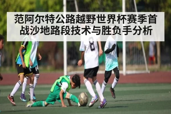 范阿尔特公路越野世界杯赛季首战沙地路段技术与胜负手分析